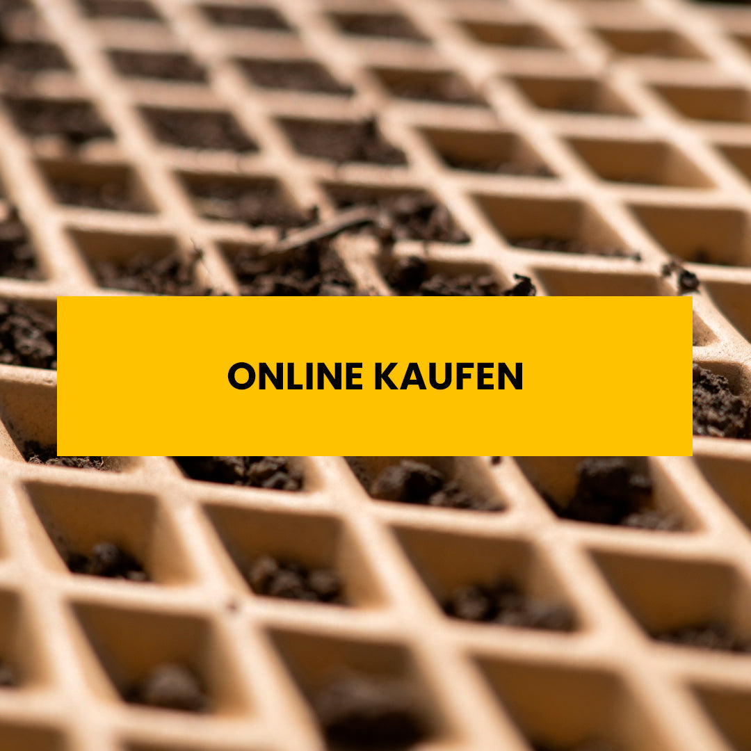 Wie wählt man Autoteppiche aus?