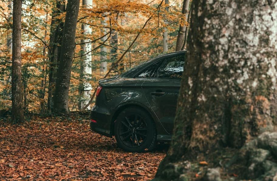 Heckseite eines schwarzen Autos im herbstlichen Wald geparkt.